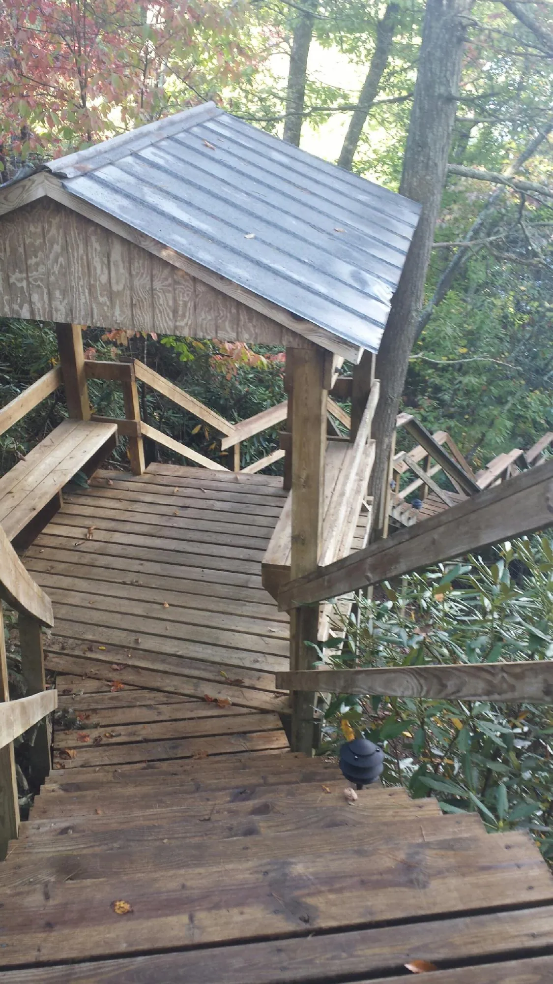 Metal roofed shelter over wooden steps on a wooded walkway — Skylight Repair & Installation work by our crew in Belvedere Tiburon